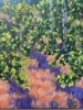 “Vineyard”