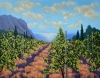 “Vineyard”