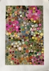 Seeds of colour