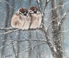 Sparrows in Winter