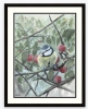 A Blue Tit Among the Cherries