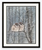 Sparrows in Winter