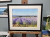 Lavender fields at Valensole