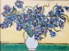 Irises, Inspired from natures, 12x16 inch, 30.5x40.75 cm