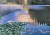 Waterlillies