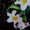 Lilies of the Night