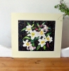 Lilies of the Night
