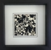 Liquorice Swirls