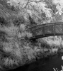Invisible Light: A Bridge Between Worlds