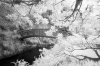 Invisible Light: A Bridge Between Worlds