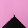 The Cat And The Pink Sunset