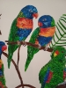 Parrots