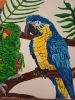 Parrots