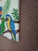 Parrots
