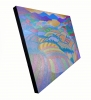 SUNSET OVER RAINBOW FIELDS