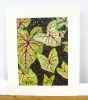 The Language of Leaves