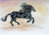 Unbridled