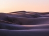 Sandrise