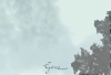 Clouds XXV