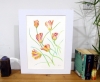 A Dance of Tulips