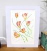 A Dance of Tulips