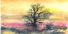 Canadian Landscape sun set, watercolors on cold press paper, 9x12, inch, 23x30.5 cm, SKU 4002