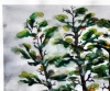 Quartet 1, 12x8.75 inch, 30.5x22.25 cm, Water colors on cold press paper, SKU 4009