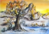 Old tree 1, 11x15 inch, 28x38 cm, water colors SKU 4023