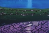 Sleeping Cows