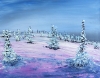 Snowy Winter 