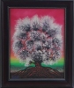 Spider Tree