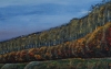 Steep Coast