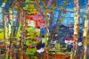 Sunset in Wooded Landscape 078