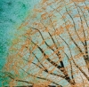 The Golden Dreaming Tree