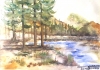 The pond 1, 12x18.75 inch, water colors SKU 4010