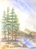 The pond 1, 12x18.75 inch, water colors SKU 4010