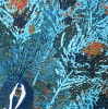 Prims of Blue