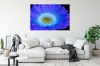 Secret Signals: Gerbera 2