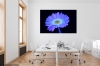Secret Signals: Gerbera 1