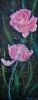 Pink Tulips After Rain