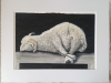 \"Agnus Dei\"