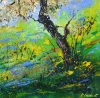 Spring in Normandy 