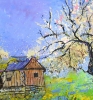 Spring in Normandy 