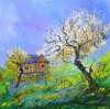 Spring in Normandy 