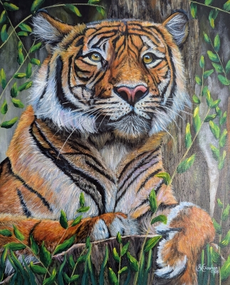 Tiger Stance 