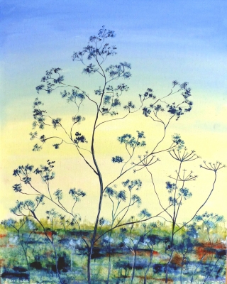 Fen Lace