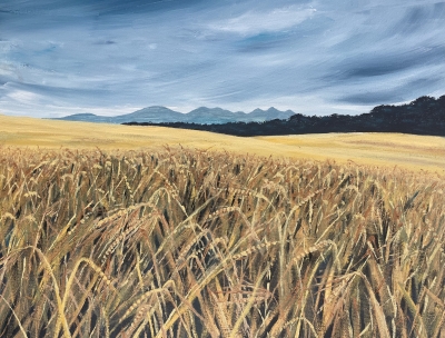 Fields of Barley