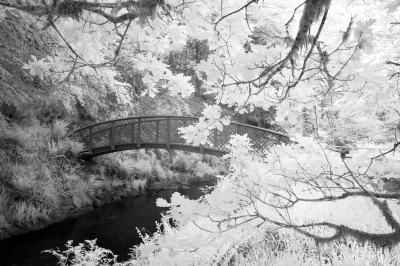 Invisible Light: A Bridge Between Worlds