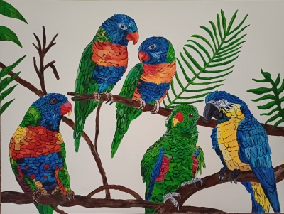 Parrots
