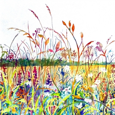 Fen Field Flowers